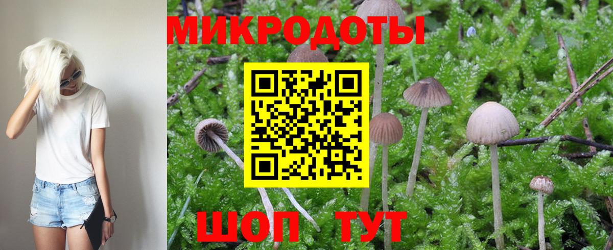 Галлюциногенные грибы Psilocybe  Вход с VPN  Псилоцибиновые грибы Psilocybine cubensis  Кисловодск 